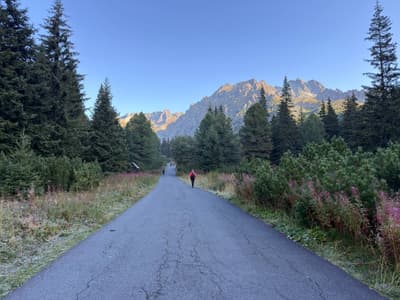 From my hikes